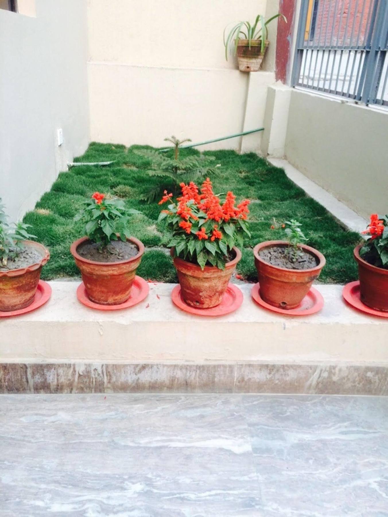 Kathmandu Sunny Hotel Zewnętrze zdjęcie